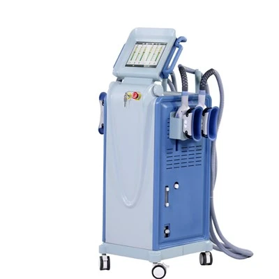 Fat Removal Freeze Slimming Tshuab